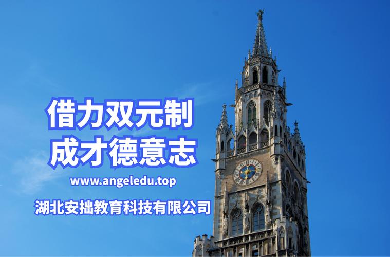 湖北安拙教育科技信息技术咨询服务解析